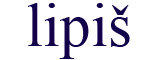 lipis 3